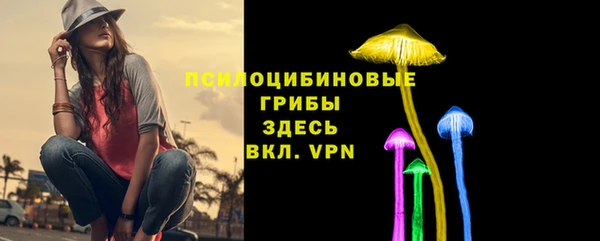 дживик Арсеньев