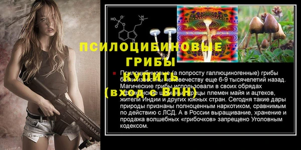 дживик Арсеньев