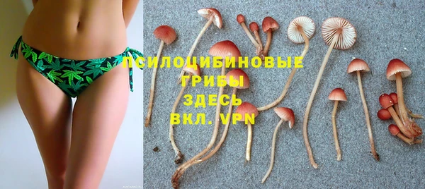 дживик Арсеньев