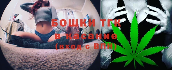 дживик Арсеньев