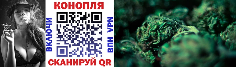 MEGA   Кукмор  Марихуана конопля 